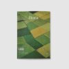 ISSUE 01