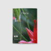 Issue 10